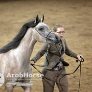 Arabian National Breeder Finals - 2017