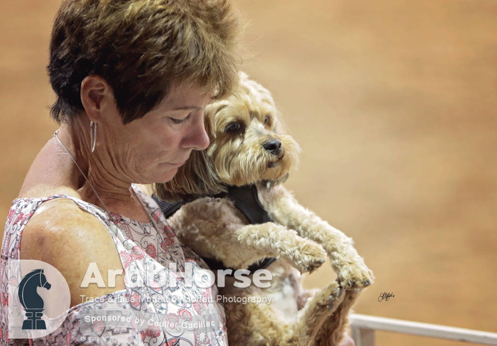 Arabian National Breeder Finals - 2017