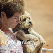 Arabian National Breeder Finals - 2017