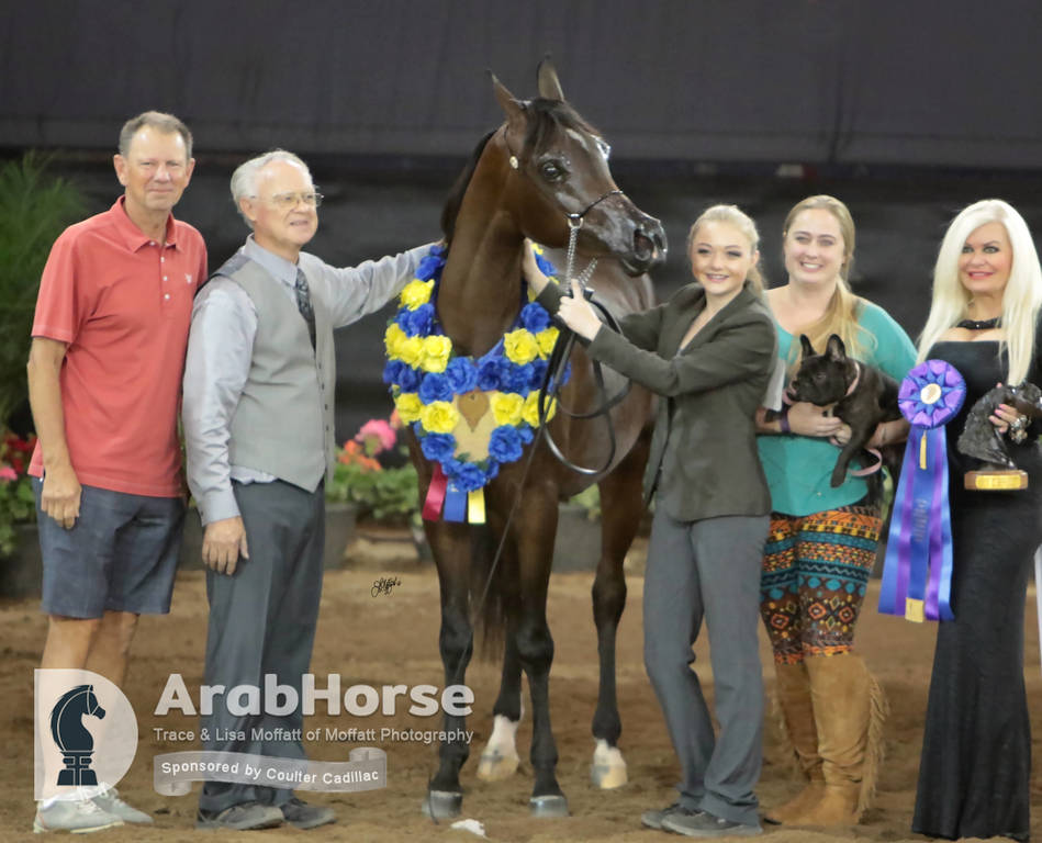 Arabian National Breeder Finals - 2017