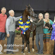 Arabian National Breeder Finals - 2017