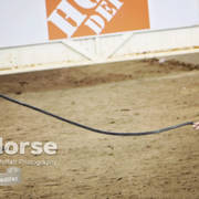 Arabian National Breeder Finals - 2017