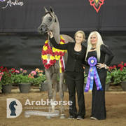 Arabian National Breeder Finals - 2017