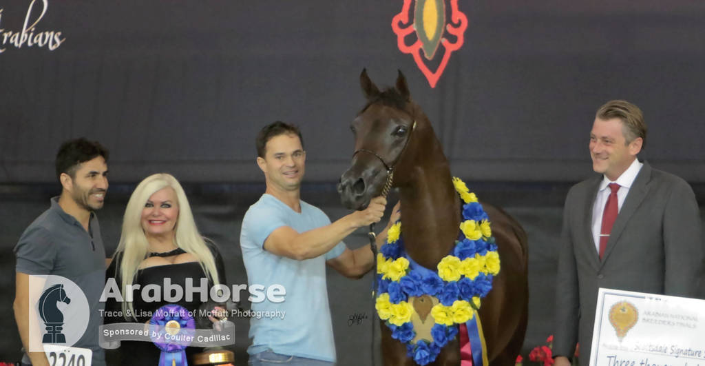 Arabian National Breeder Finals - 2017