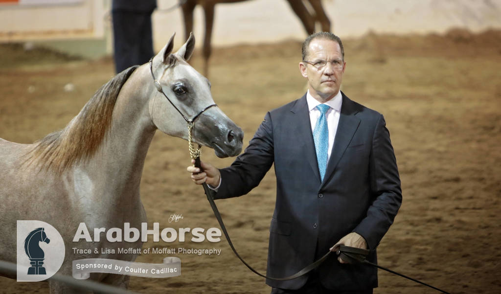 Arabian National Breeder Finals - 2017