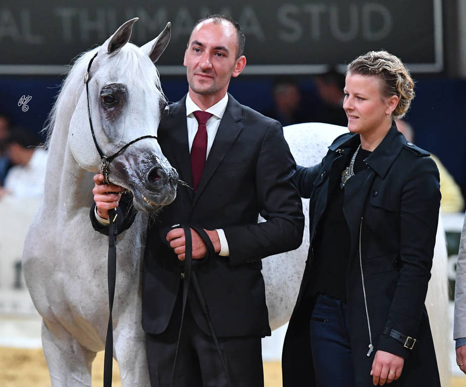 Senior Mare Gold Champion: Anood Al Nasser (Ashhal Al Rayyan X Aleysha Al Nasser) 