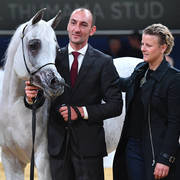 Senior Mare Gold Champion: Anood Al Nasser (Ashhal Al Rayyan X Aleysha Al Nasser) 