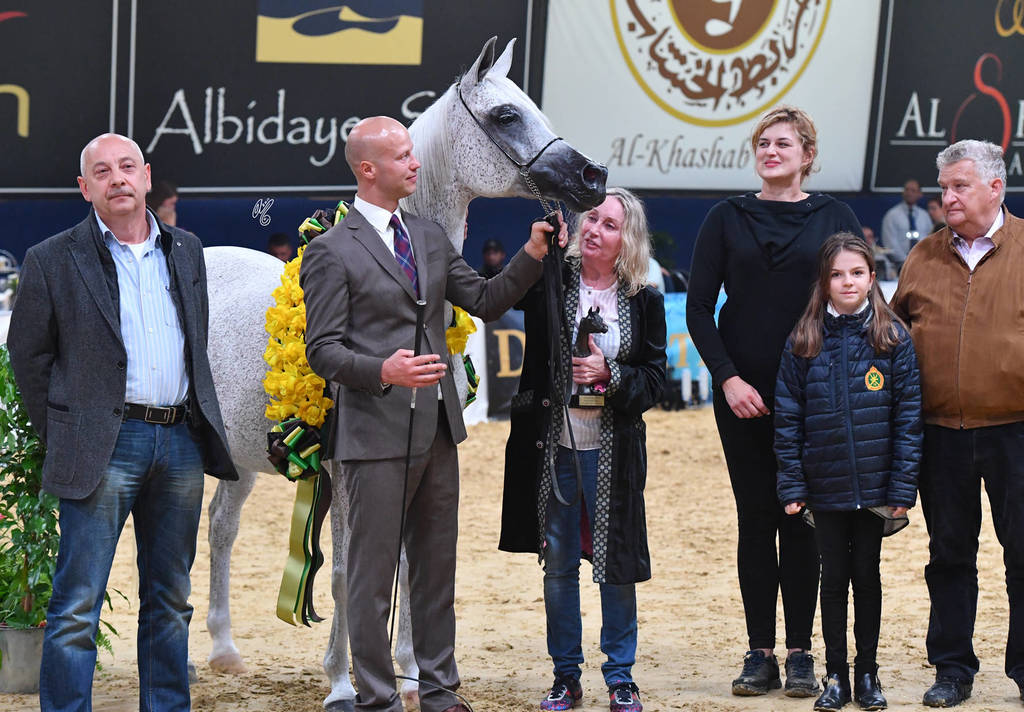 Senior Mare Bronze Champion: Ekspulsja (Gazal Al Shaqab X Elandra) 