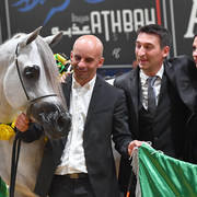 Junior Colt Gold Champion: Alexxanderr (Excalibur EA X AR Most Irresistable) 