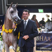 Junior Colt Silver Champion: AJ Azzam  (AJ Mardan X Ysadora)