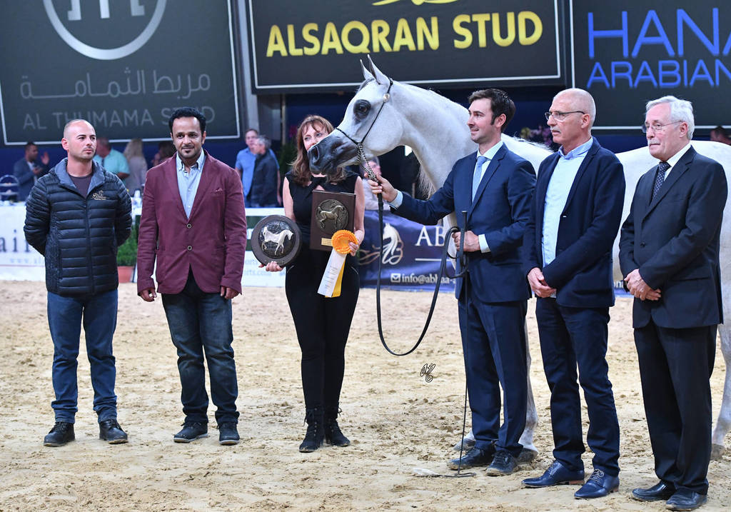 Junior Filly Gold Champion: Mozn Albidayer (SMA Magic One X Mattaharii) 