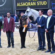 Junior Filly Gold Champion: Mozn Albidayer (SMA Magic One X Mattaharii) 