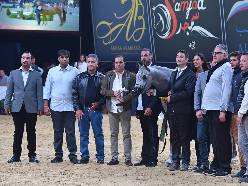 Junior Filly Silver Champion: D Ajayeb (RFI Farid X Lady Veronika)