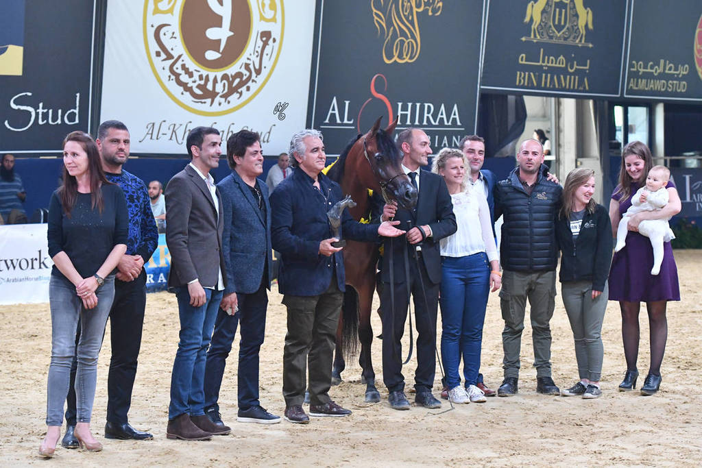 Junior Filly Bronze Champion: Loulou Al Nasser (RFI Farid X Rihab Al Nasser)