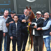 Yearling Colt Silver Champion: RD Harenaado (Hariry Al Shaqab X DM Endless Romance) 