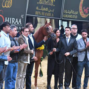 Yearling Colt Bronze Champion: D Shallal (FA El Rasheem X D Shahla)