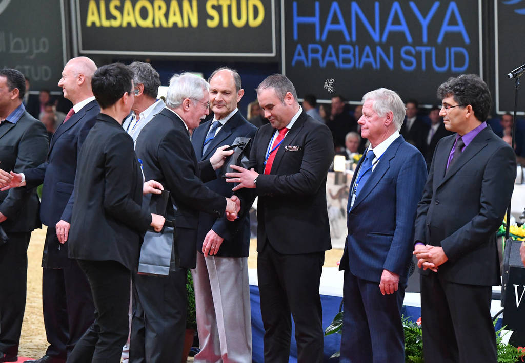 Lisa Abraham: The 2017 All Nations Cup Festival Photo Gallery