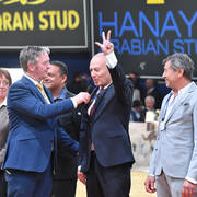 Lisa Abraham: The 2017 All Nations Cup Festival Photo Gallery