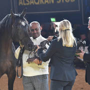 Lifetime Achievement Award for a Horse: Gazal Al Shaqab