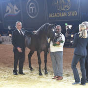 Lifetime Achievement Award for a Horse: Gazal Al Shaqab