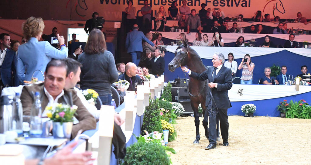 Lifetime Achievement Award for a Horse: Gazal Al Shaqab