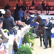 Lifetime Achievement Award for a Horse: Gazal Al Shaqab