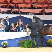 Lifetime Achievement Award for a Horse: Gazal Al Shaqab