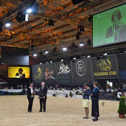 Lifetime Achievement Award for a Person: Ignacy Jaworowsky (1924 - 2004). Ignacy Jaworowsky had been a director of Polish State Stud Michalow and was represented by his daughters Dorota Janiszewska and Agnieszka Rozwadowska