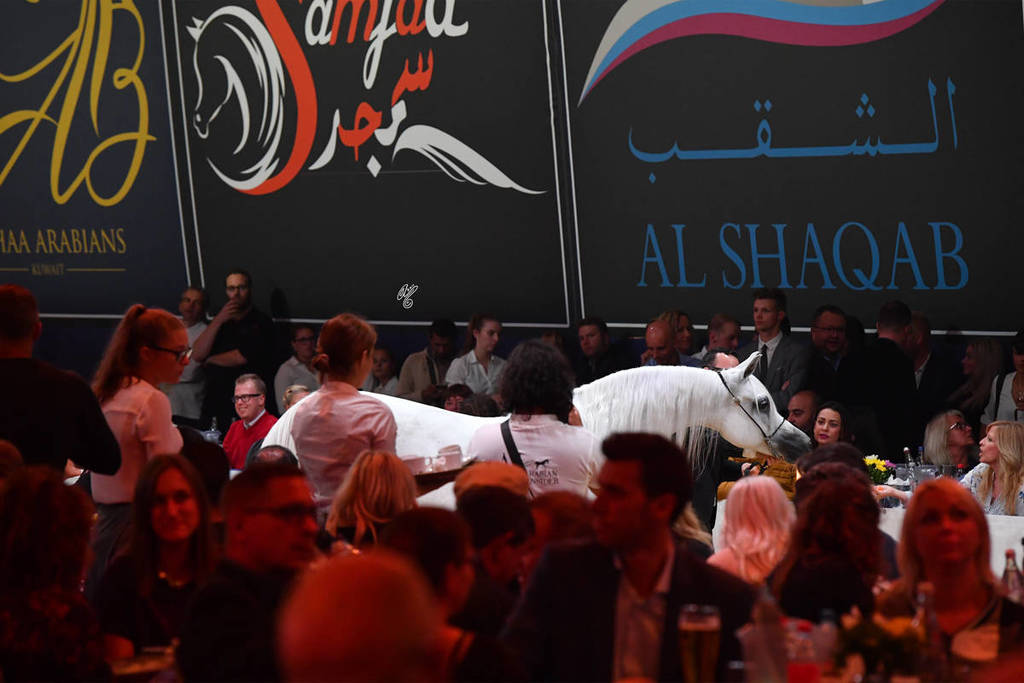 Lisa Abraham: The 2017 All Nations Cup Festival Photo Gallery