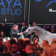 Lisa Abraham: The 2017 All Nations Cup Festival Photo Gallery