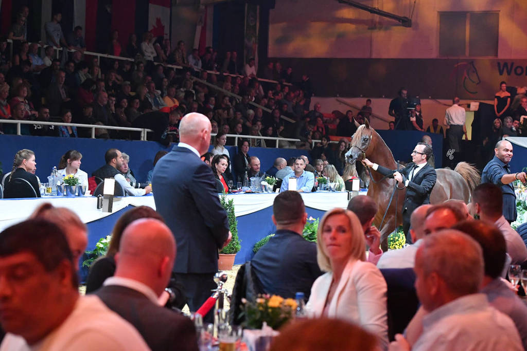 Lisa Abraham: The 2017 All Nations Cup Festival Photo Gallery