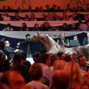 Lisa Abraham: The 2017 All Nations Cup Festival Photo Gallery