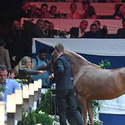 Lisa Abraham: The 2017 All Nations Cup Festival Photo Gallery