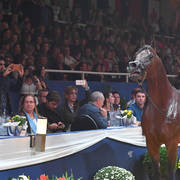 Lisa Abraham: The 2017 All Nations Cup Festival Photo Gallery