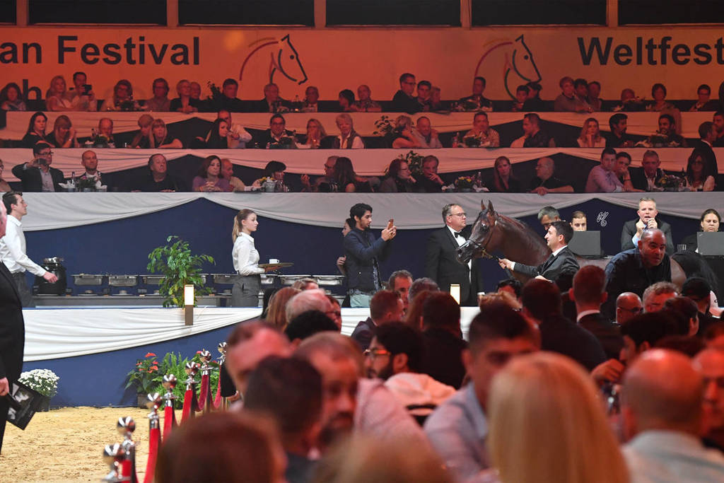 Lisa Abraham: The 2017 All Nations Cup Festival Photo Gallery