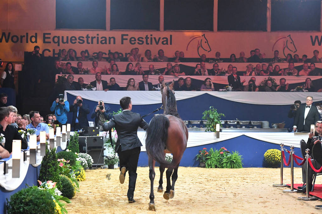 Lisa Abraham: The 2017 All Nations Cup Festival Photo Gallery