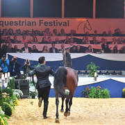 Lisa Abraham: The 2017 All Nations Cup Festival Photo Gallery