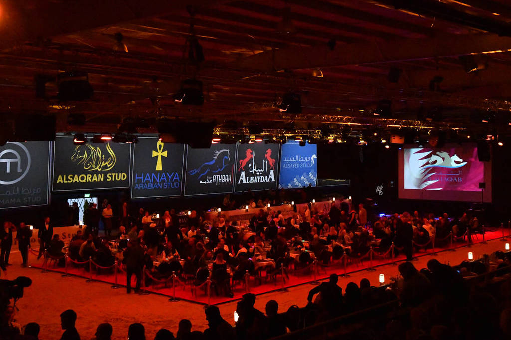 Lisa Abraham: The 2017 All Nations Cup Festival Photo Gallery