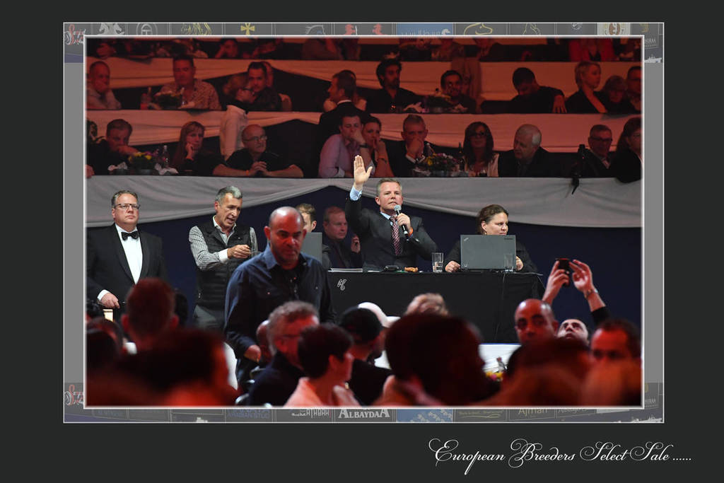 Lisa Abraham: The 2017 All Nations Cup Festival Photo Gallery