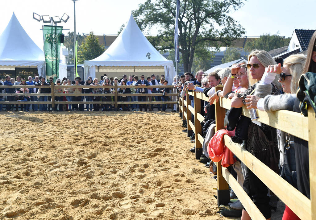 Lisa Abraham: The 2017 All Nations Cup Festival Photo Gallery