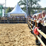 Lisa Abraham: The 2017 All Nations Cup Festival Photo Gallery