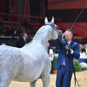 #103 Mares 7-10: Zigi Zana