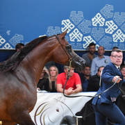 #102 Mares 7-10 Years: Primera  