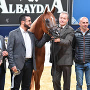 #95 Mare 4-6 Years: Delights Divah RB 