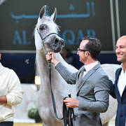 #91 Mares 4-6 Years: Galerida    