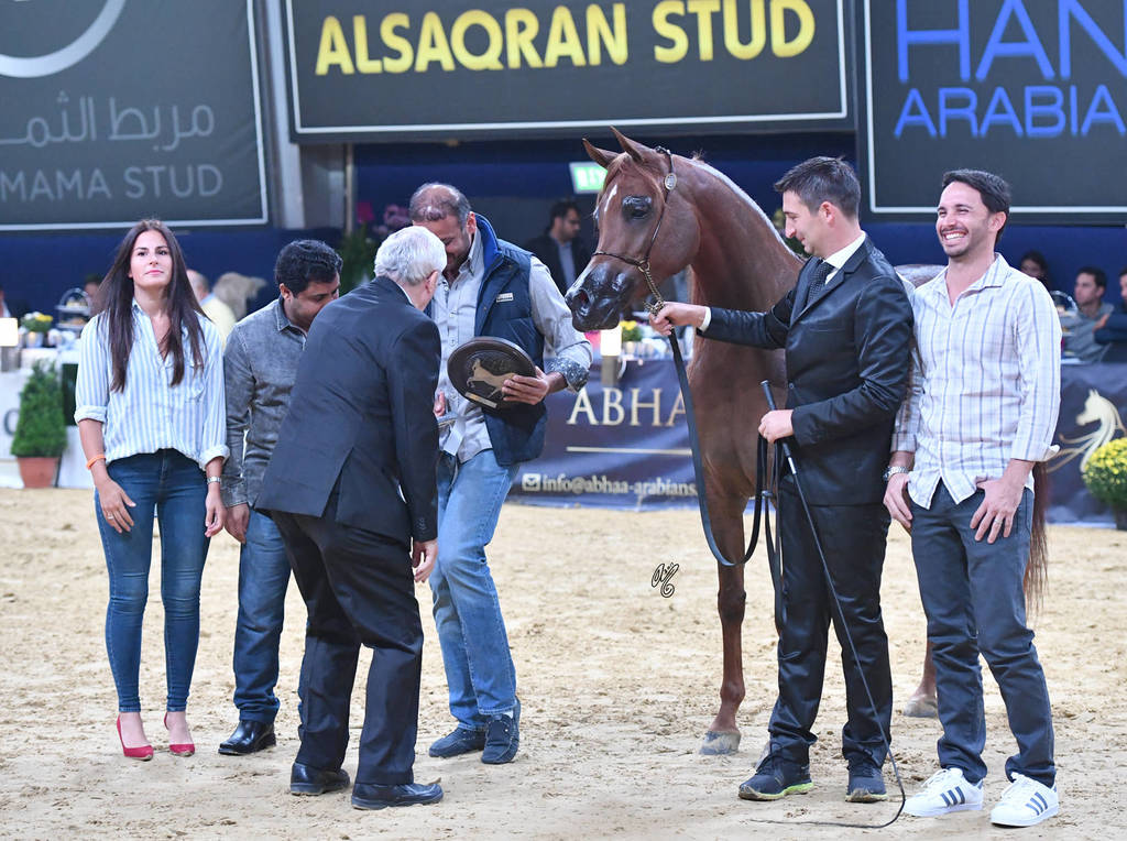 #90 Mares 4-6 Years: Elle Flamenca