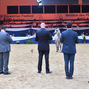 #88 Mares 4-6 Years: Eliksja