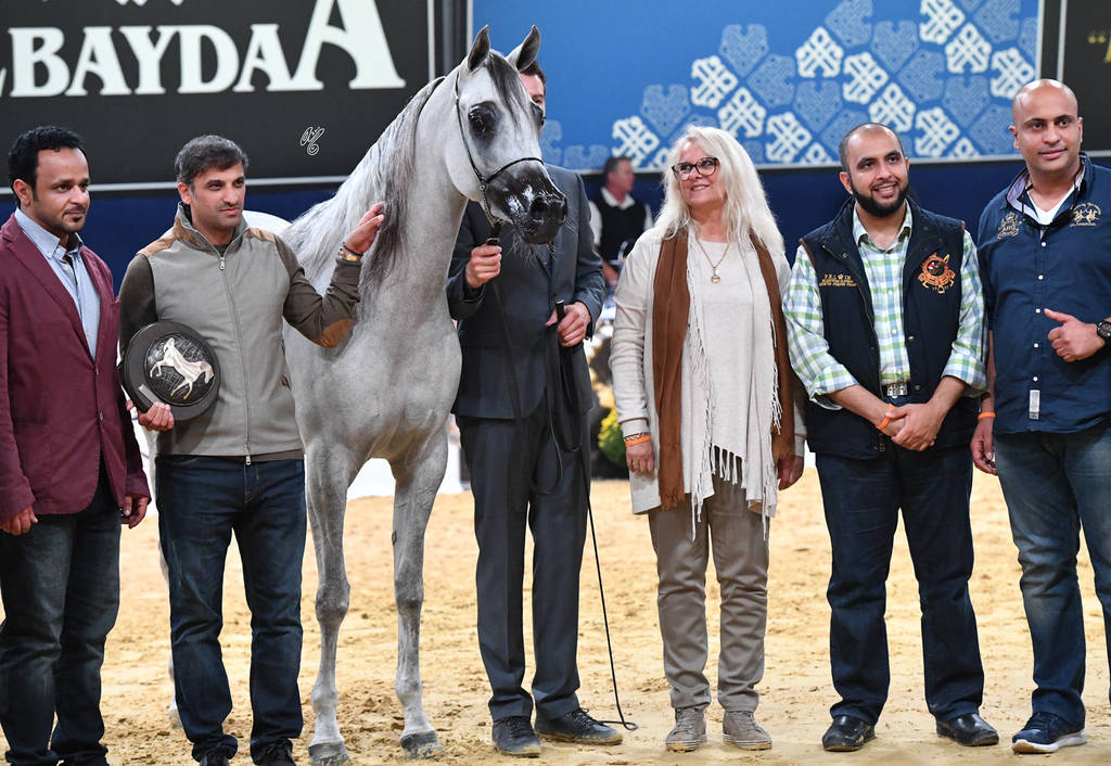 #73 Filly 3 Year Old: Malikat Al Moluk 