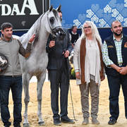 #73 Filly 3 Year Old: Malikat Al Moluk 