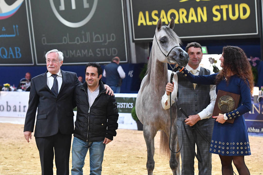 #44 Filly 2 Year Old: DA Alihandra 